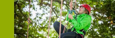 Goodleaf Tree Climbing